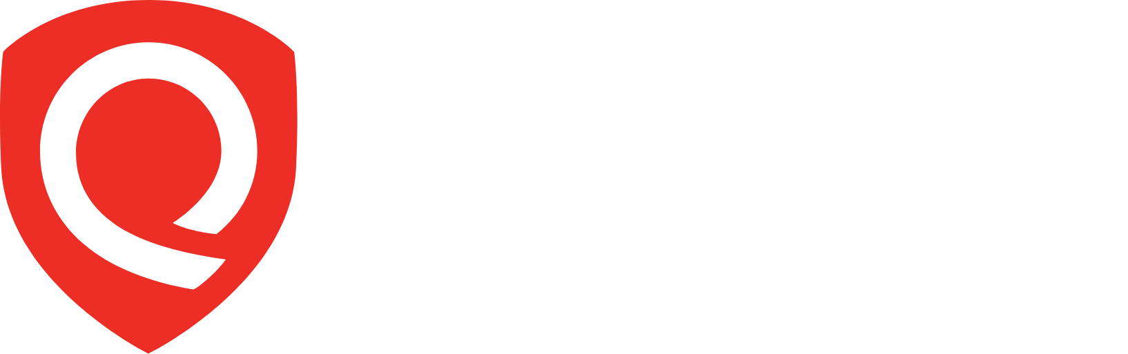 QLYS_BIG.D-8cd6f51b